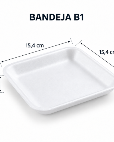 BANDEJA 1 MEDIDAS