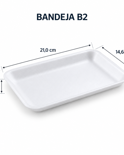 BANDEJA 2 MEDIDAS