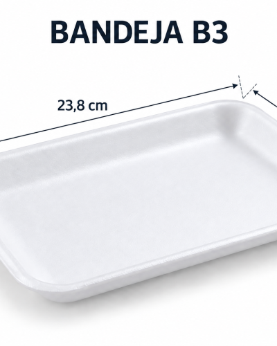 BANDEJA 3